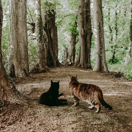 Сasa de vacaciones La Renardiere Du Chateau D Emines