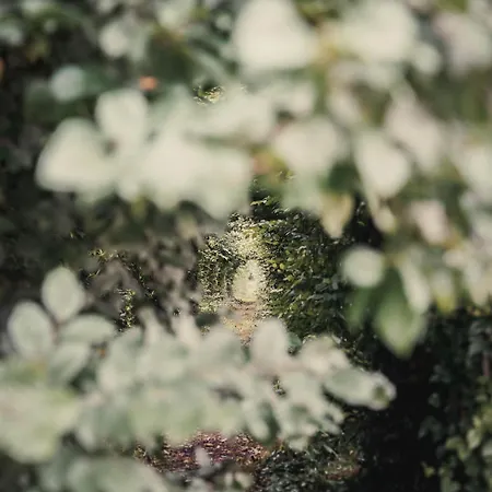 La Renardiere Du Chateau D Emines Сasa de vacaciones