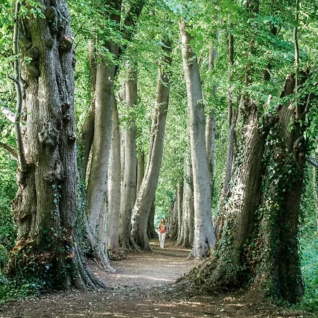 La Renardiere Du Chateau D Emines